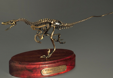 Модель скелета динозавра Velociraptor - «globural.ru» - Нижний Новгород