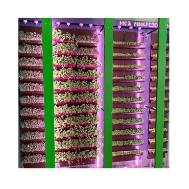 Вертикальная ферма "Моя Микрозелень" комплектация Школьная - «globural.ru» - Нижний Новгород