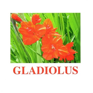 "Flowers-1" ("Цветы-1") английские карточки Домана - «globural.ru» - Нижний Новгород