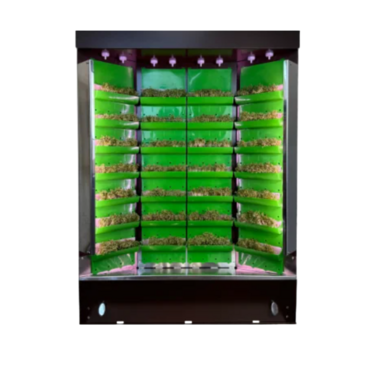 Вертикальная ферма "Моя Микрозелень" комплектация "Театро настольная" - «globural.ru» - Нижний Новгород