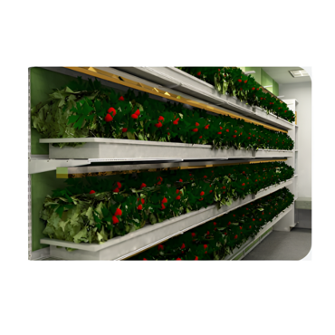 Стеллаж для выращивания клубники "Стена" - «globural.ru» - Нижний Новгород