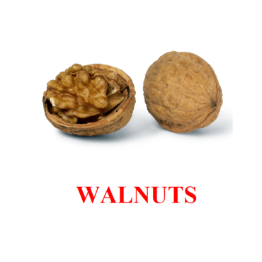 "Berries-Nuts-2" ("Ягоды-Орехи-2") английские карточки Домана - «globural.ru» - Нижний Новгород