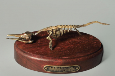 Модель скелета ихтиозавра Ichthyosaurus - «globural.ru» - Нижний Новгород