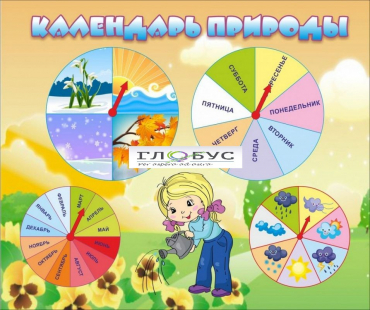Стенд "Календарь природы" (вариант 1) - «globural.ru» - Нижний Новгород