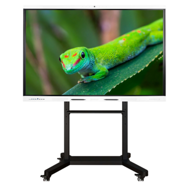 Интерактивный комплекс Geckotouch ​​​​​​​75RK - «globural.ru» - Нижний Новгород