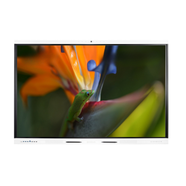 Интерактивная панель Geckotouch Interactive 98SL - «globural.ru» - Нижний Новгород