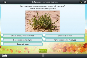 Интерактивные курсы. Окружающий мир 3 класс. Базовый - «globural.ru» - Нижний Новгород