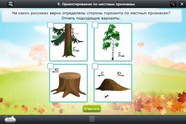 Интерактивные курсы. Окружающий мир 1 класс. Базовый - «globural.ru» - Нижний Новгород