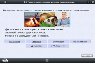Интерактивные курсы. Русский язык 6 класс. Базовый - «globural.ru» - Нижний Новгород
