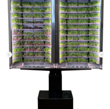 Вертикальная  ферма «Моя микрозелень» комплектация  «Театро настенная» - «globural.ru» - Нижний Новгород