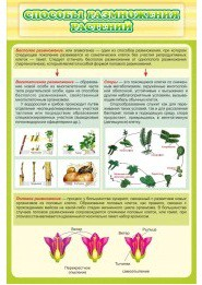 Стенд "Способы размножения растений" - «globural.ru» - Нижний Новгород