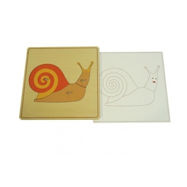 Строение улитки с контуром - «globural.ru» - Нижний Новгород